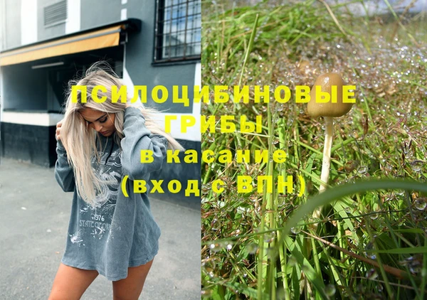 шишки Богданович