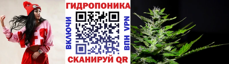 kraken ССЫЛКА  как найти закладки  Альметьевск  Конопля VHQ 